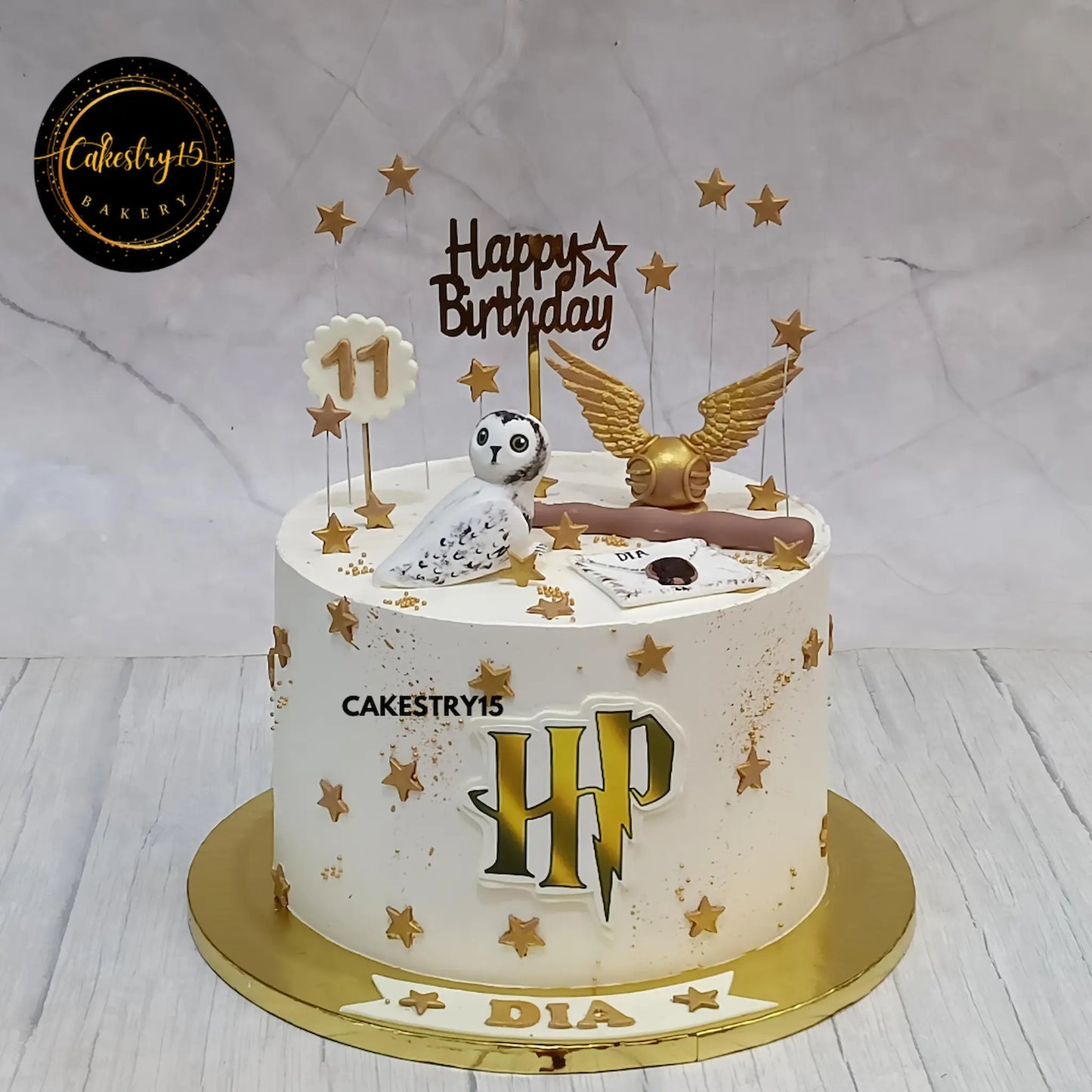 Dia’s 11th birthday 2kg chocolate Harry Potter cake with owl, wand, letter, and golden stars