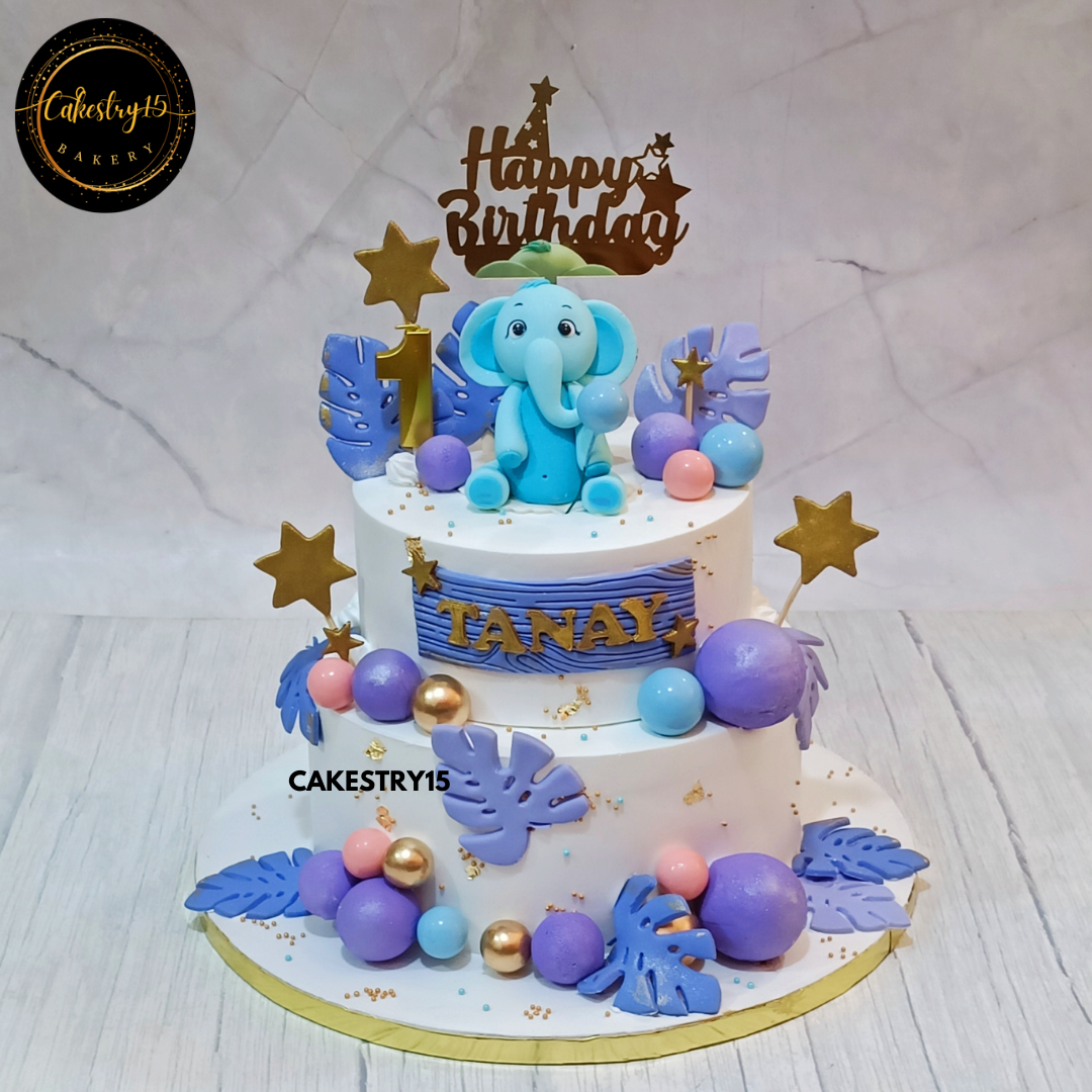 Sweet Elephant 1st Birthday Cake,2kg 2tier blueberry first birthday cake by cakestry15 noida,cake full image,cake for boys